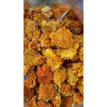 Natures Marigold  Flowers